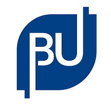 Bul Consultancy